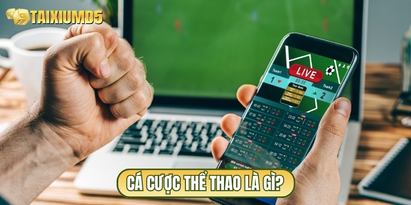 Cá cược thể thao tại Tài xỉu MD5 mang đến nhiều kiến thức bổ ích